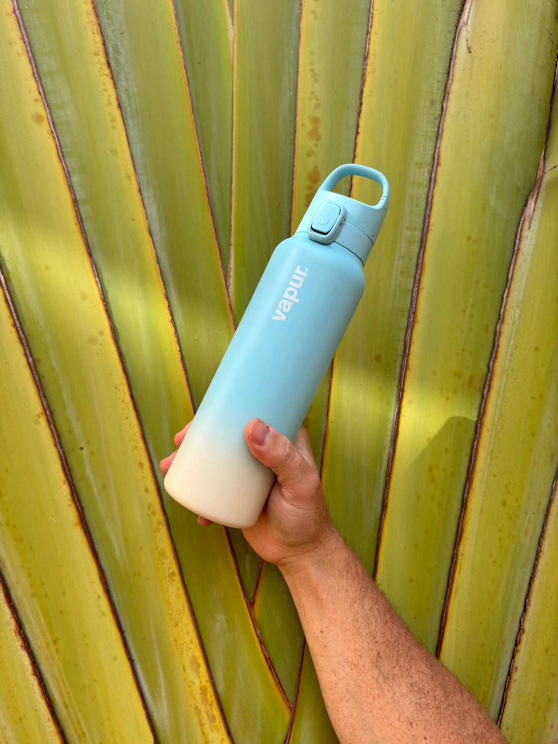 Vital from Head to Toe: Everyday Health Strategies That Actually Work