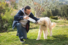 EZ Lick Collapsible Dog Bottle