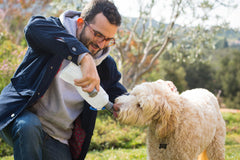 EZ Lick Collapsible Dog Bottle