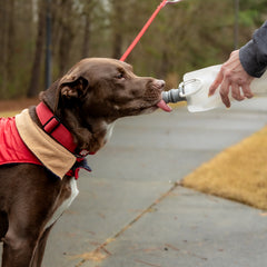 EZ Lick & 1L Anti-Bottle Combo Pack