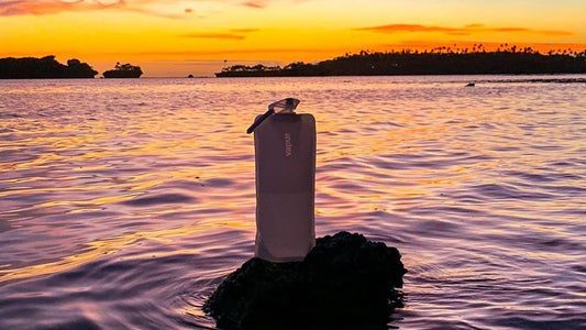 How to Transform Your Passion for Health Into Positive Advocacy in the Real World