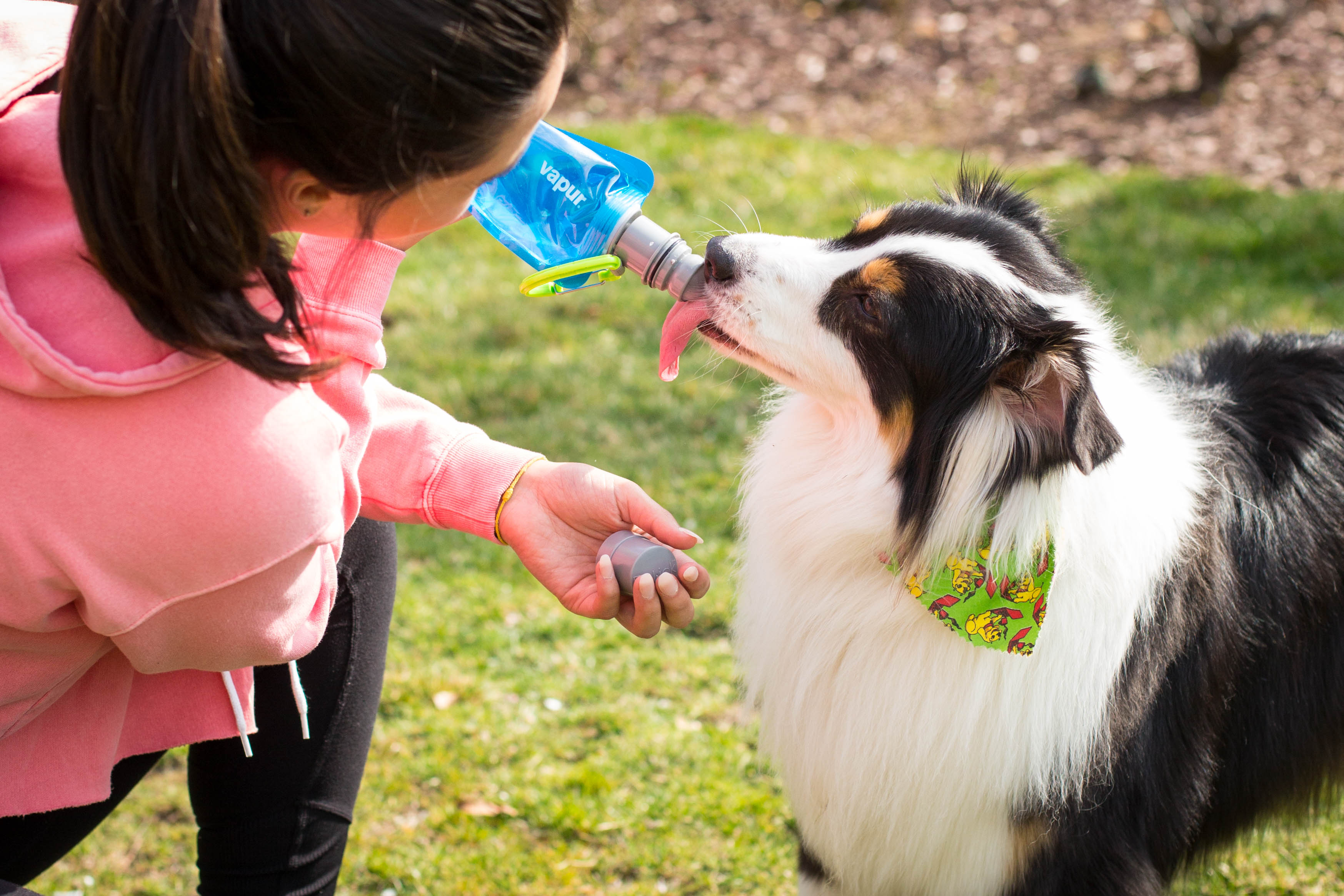 EZ Lick Collapsible Dog Bottle – Vapur